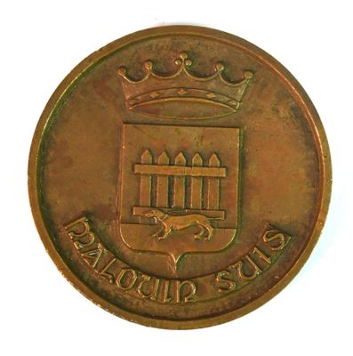une image représentant une pièce de monnaie sur laquelle figure une couronne