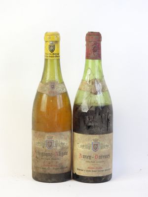 deux bouteilles de vin posées l'une à côté de l'autre sur une surface blanche