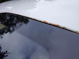 a car that has rust on the hood of it