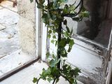 a candle holder that has a plant growing out of it