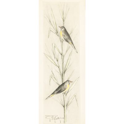 dessin représentant deux oiseaux perchés sur une branche d'une plante