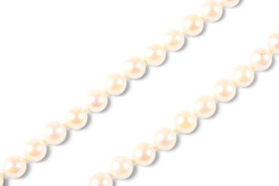 a close up of a strand of white pearls on a white background