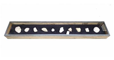 a close up of a display case filled with rocks on a white background