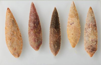 six different types of arrowheads are shown on a white surface