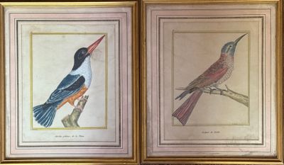 two framed pictures of birds sitting on top of a wooden table