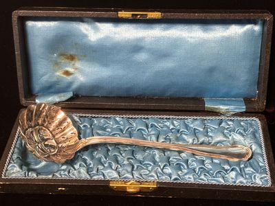 Cuillère saupoudreuse en écrin