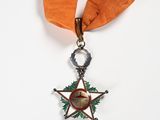 an orange ribbon with a star on it is attached to a medal