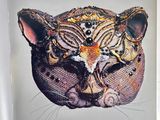 a picture of a picture of a cat with a tiger ' s face