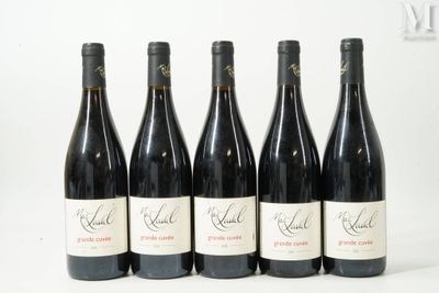 six bouteilles de vin rouge sont alignées sur une surface blanche