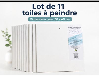 lot de 11 toilettes a pendre