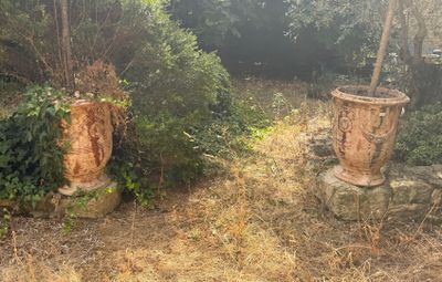 deux grands vases posés au milieu d'un champ