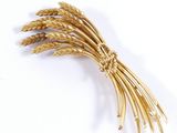 an image of a bunch of wheat stalks on a white surface