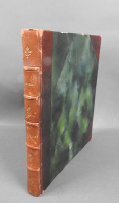an old book sitting on top of a table covered in green leaves