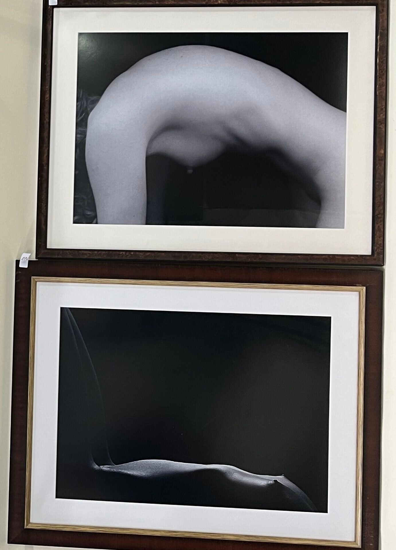 Objets d'art & Curiosités