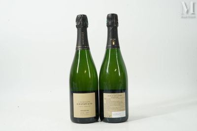 deux bouteilles de champagne posées l'une à côté de l'autre sur une surface blanche