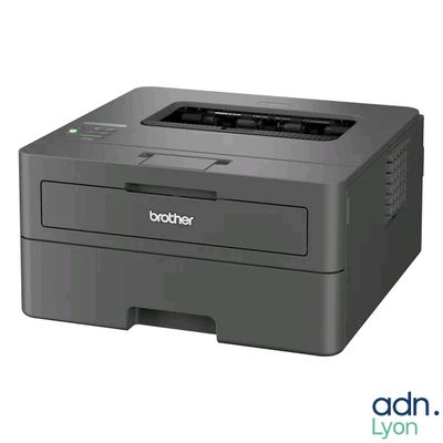 brother hl - 2130dw mono laser printer
