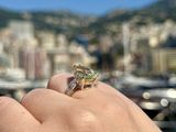 a person holding a ring in their hand with a city in the background