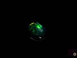 une oplite au feu vert dans l'obscurité