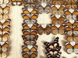 a lot of butterflies that are on display in a box