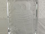 a glass block with a picture of an owl on it