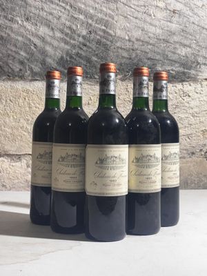 six bouteilles de vin sont alignées sur une table devant un mur de pierre