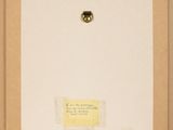 an image of a painting with a note attached to the back of it