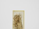 an image of a gold sculpture of a horse ' s head on a white surface