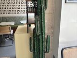 a tall cactus plant in a pot in the corner of a room