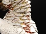 a close up of a white sculpture of a bird
