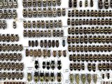 a lot of beetles that are on display in a display case