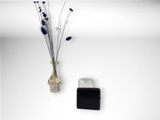 un vase contenant des fleurs, à côté d'une bouteille d'eau