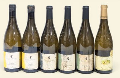 plusieurs bouteilles de vin sont alignées sur une surface blanche