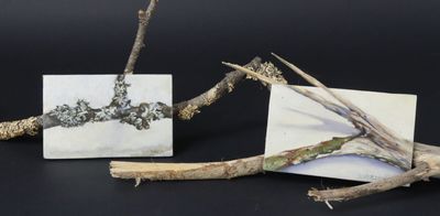 une image représentant une branche et une image représentant un oiseau sur une feuille de papier