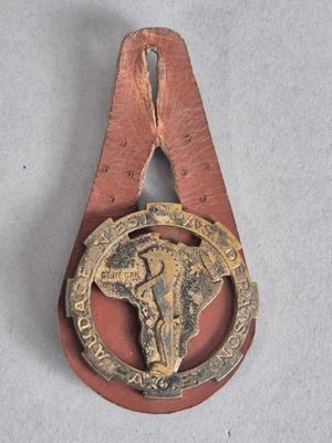 une image représentant une médaille ornée d'une tête de taureau