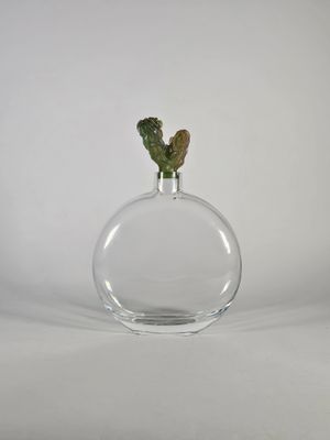 un petit cactus dans un vase transparent sur fond blanc