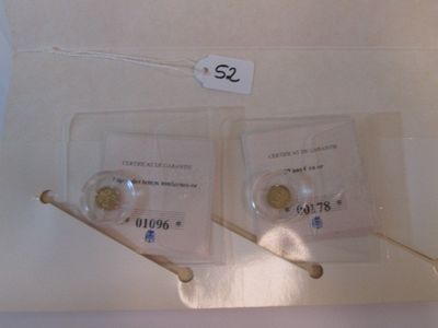 deux pièces d'or dans une boîte transparente