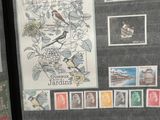 une photo d'une photo montrant des oiseaux et des timbres exposés