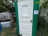 a green and white toilet sitting in the grass