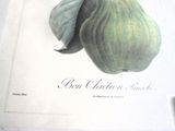 une photo d'une poire sur une branche posée sur une table