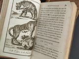 a book with a picture of a tiger and a cat on it