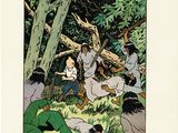 an illustration of a group of people in the woods