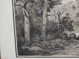 a black and white drawing of a forest with trees