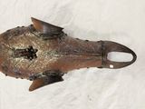 un objet métallique qui ressemble à un poisson posé sur un drap blanc