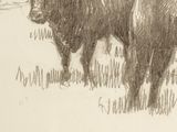 a drawing of a cow standing in a field
