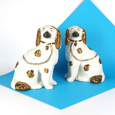 deux chiens blancs et marron assis sur une surface bleue