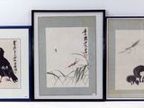 trois photos d'oiseaux encadrées accrochées au mur