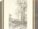 drawing of a landscape with trees and a river in the foreground