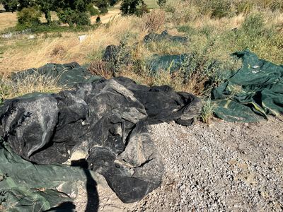 un tas d'ordures au bord de la route