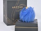 une image représentant un coffret de parfum orné d'une plume bleue