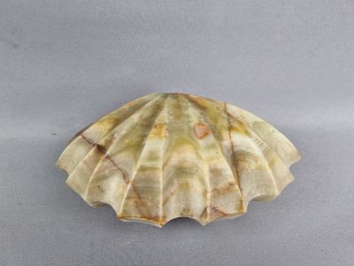 une image représentant un coquillage sur une surface grise